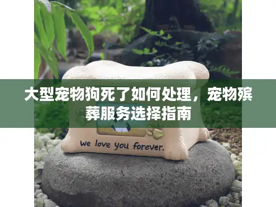 大型宠物狗死了如何处理，宠物殡葬服务选择指南