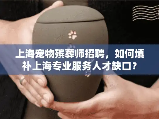 上海宠物殡葬师招聘，如何填补上海专业服务人才缺口？