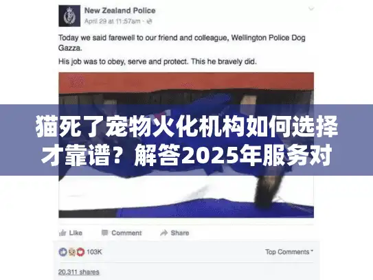 猫死了宠物火化机构如何选择才靠谱？解答2025年服务对比指南