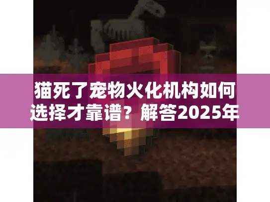 猫死了宠物火化机构如何选择才靠谱？解答2025年服务对比指南