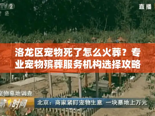 洛龙区宠物死了怎么火葬？专业宠物殡葬服务机构选择攻略