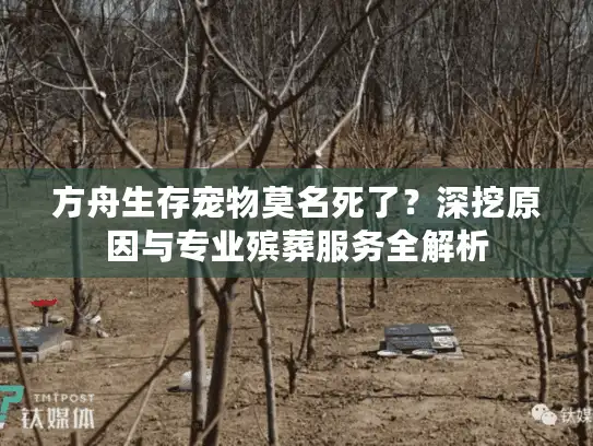 方舟生存宠物莫名死了？深挖原因与专业殡葬服务全解析