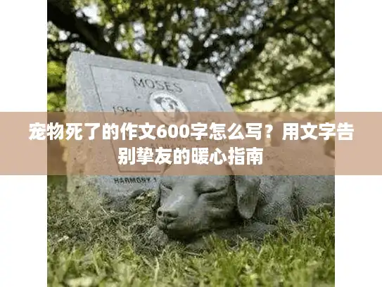 宠物死了的作文600字怎么写？用文字告别挚友的暖心指南