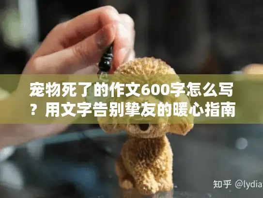 宠物死了的作文600字怎么写？用文字告别挚友的暖心指南