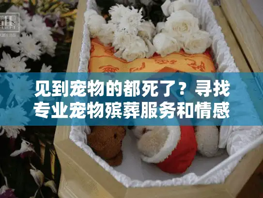 见到宠物的都死了？寻找专业宠物殡葬服务和情感支持指南