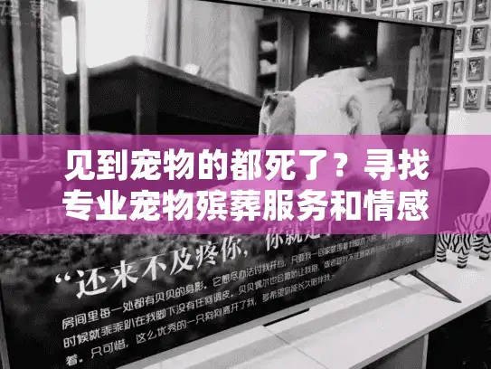见到宠物的都死了？寻找专业宠物殡葬服务和情感支持指南