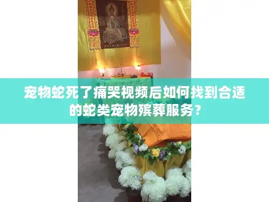 宠物蛇死了痛哭视频后如何找到合适的蛇类宠物殡葬服务？