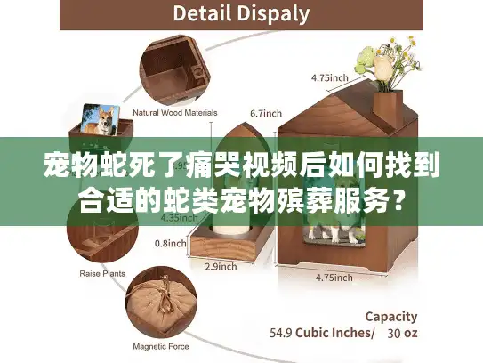 宠物蛇死了痛哭视频后如何找到合适的蛇类宠物殡葬服务？