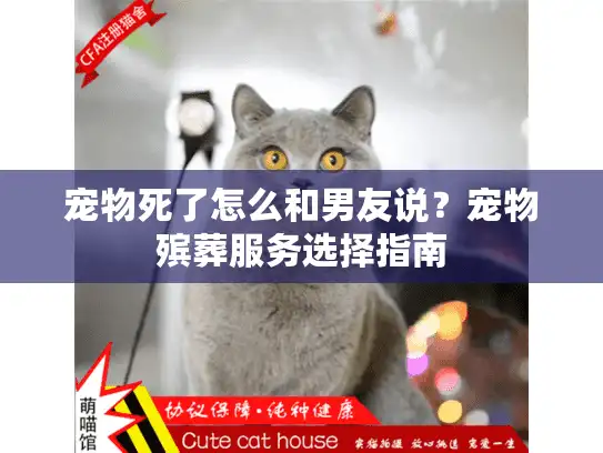 宠物死了怎么和男友说？宠物殡葬服务选择指南