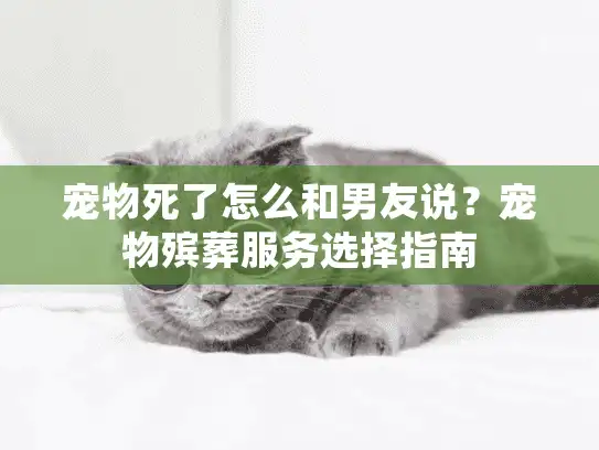 宠物死了怎么和男友说？宠物殡葬服务选择指南