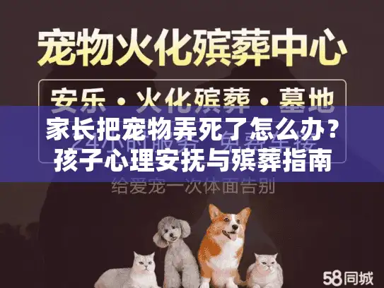 家长把宠物弄死了怎么办？孩子心理安抚与殡葬指南