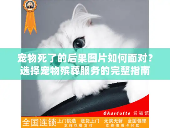 宠物死了的后果图片如何面对？选择宠物殡葬服务的完整指南