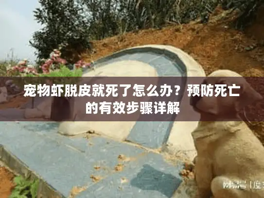 宠物虾脱皮就死了怎么办？预防死亡的有效步骤详解