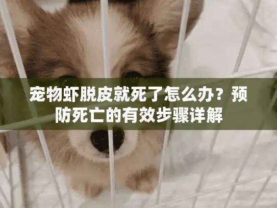 宠物虾脱皮就死了怎么办？预防死亡的有效步骤详解
