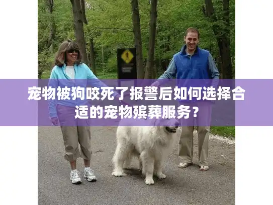宠物被狗咬死了报警后如何选择合适的宠物殡葬服务？