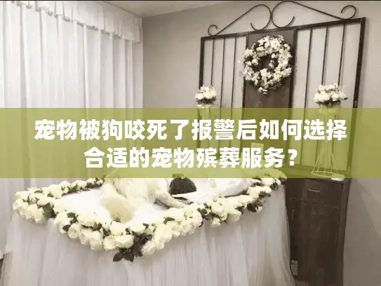 宠物被狗咬死了报警后如何选择合适的宠物殡葬服务？