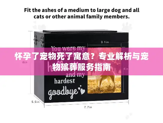 怀孕了宠物死了寓意？专业解析与宠物殡葬服务指南