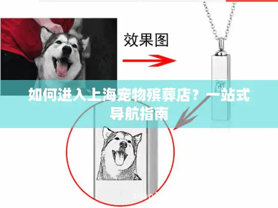 如何进入上海宠物殡葬店？一站式导航指南