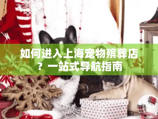 如何进入上海宠物殡葬店？一站式导航指南