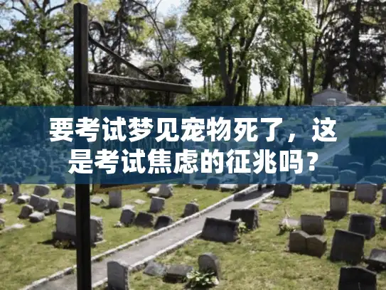 要考试梦见宠物死了，这是考试焦虑的征兆吗？