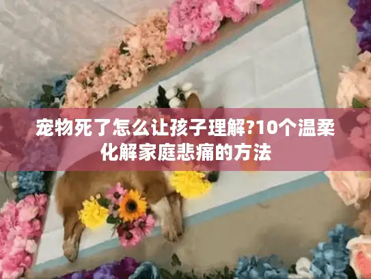 宠物死了怎么让孩子理解?10个温柔化解家庭悲痛的方法