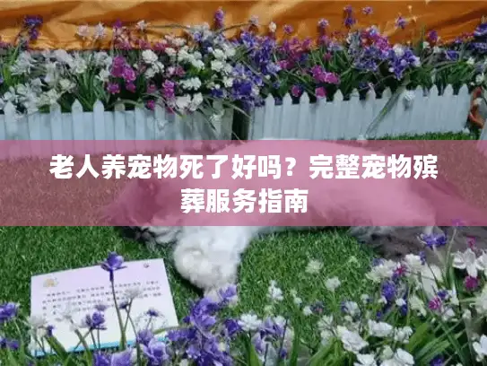 老人养宠物死了好吗？完整宠物殡葬服务指南