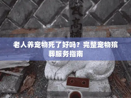 老人养宠物死了好吗？完整宠物殡葬服务指南