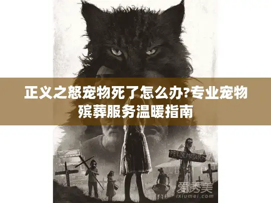 正义之怒宠物死了怎么办?专业宠物殡葬服务温暖指南