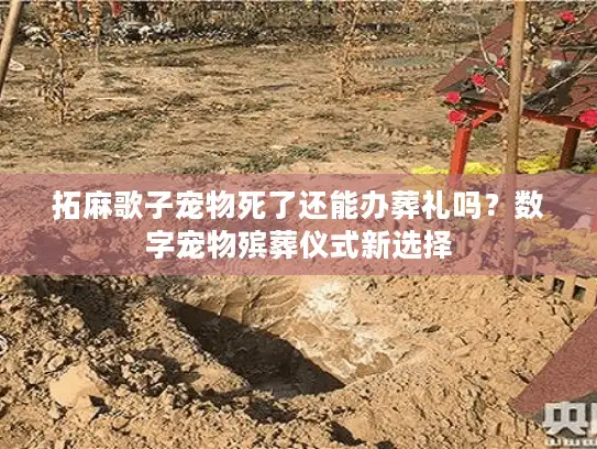 拓麻歌子宠物死了还能办葬礼吗？数字宠物殡葬仪式新选择