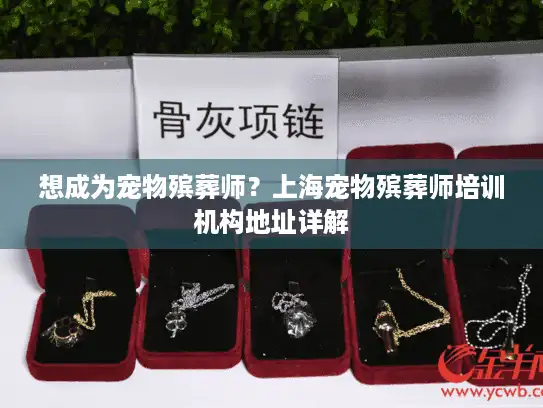 想成为宠物殡葬师？上海宠物殡葬师培训机构地址详解