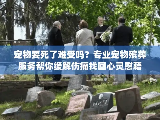宠物要死了难受吗？专业宠物殡葬服务帮你缓解伤痛找回心灵慰藉