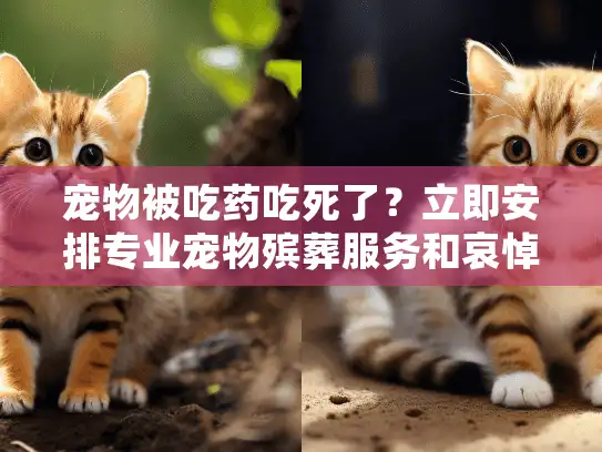 宠物被吃药吃死了？立即安排专业宠物殡葬服务和哀悼支持！