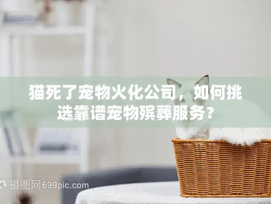 猫死了宠物火化公司，如何挑选靠谱宠物殡葬服务？