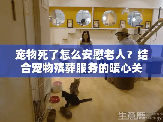 宠物死了怎么安慰老人？结合宠物殡葬服务的暖心关怀指南