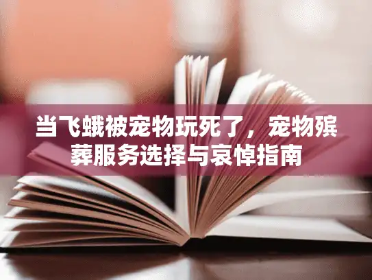 当飞蛾被宠物玩死了，宠物殡葬服务选择与哀悼指南