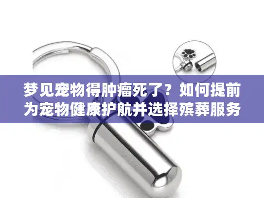 梦见宠物得肿瘤死了？如何提前为宠物健康护航并选择殡葬服务