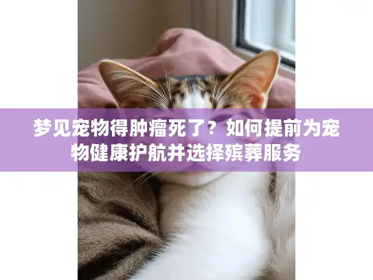 梦见宠物得肿瘤死了？如何提前为宠物健康护航并选择殡葬服务