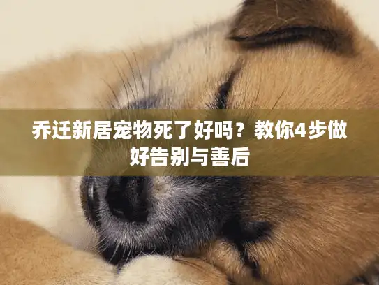 乔迁新居宠物死了好吗？教你4步做好告别与善后