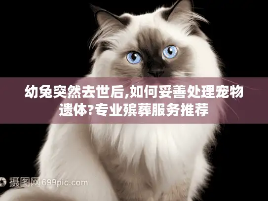 幼兔突然去世后,如何妥善处理宠物遗体?专业殡葬服务推荐