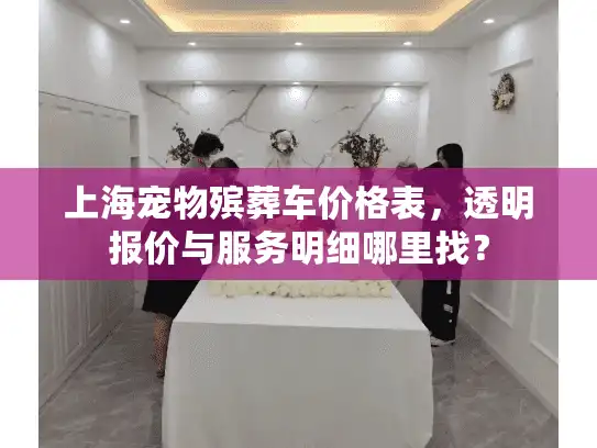 上海宠物殡葬车价格表，透明报价与服务明细哪里找？