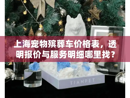 上海宠物殡葬车价格表，透明报价与服务明细哪里找？