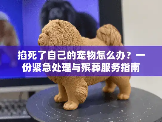 掐死了自己的宠物怎么办？一份紧急处理与殡葬服务指南