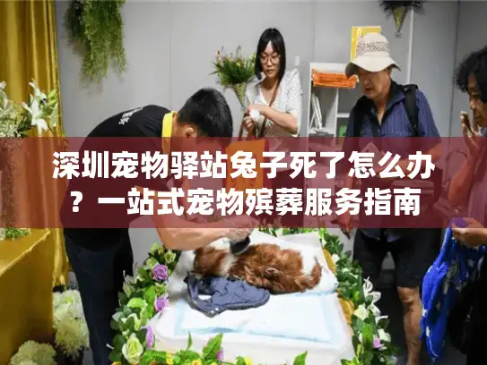 深圳宠物驿站兔子死了怎么办？一站式宠物殡葬服务指南