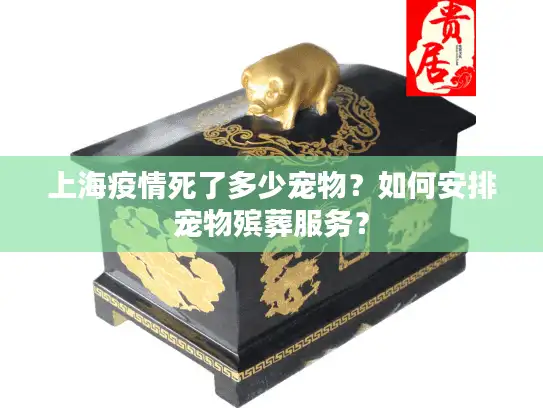 上海疫情死了多少宠物？如何安排宠物殡葬服务？