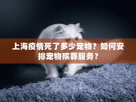 上海疫情死了多少宠物？如何安排宠物殡葬服务？
