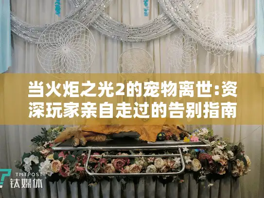 当火炬之光2的宠物离世:资深玩家亲自走过的告别指南
