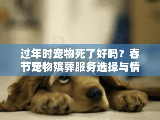 过年时宠物死了好吗？春节宠物殡葬服务选择与情感支持指南