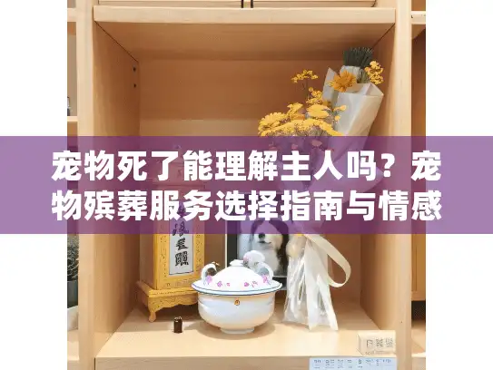 宠物死了能理解主人吗？宠物殡葬服务选择指南与情感支持秘诀