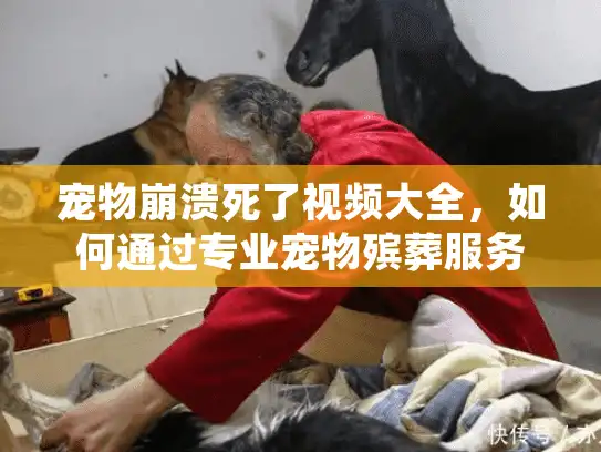 宠物崩溃死了视频大全，如何通过专业宠物殡葬服务治愈心灵伤痛？