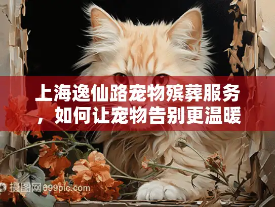 上海逸仙路宠物殡葬服务，如何让宠物告别更温暖？